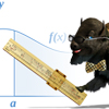 AP Calculus