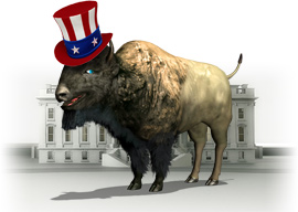 ap-moose-logo