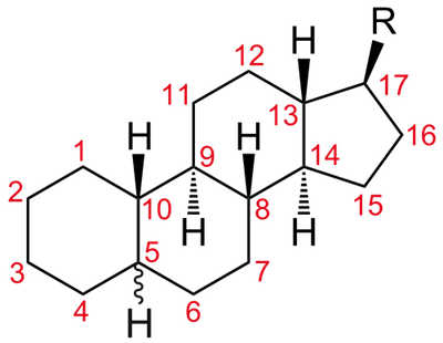 Steroids are lipids derived from cholesterol