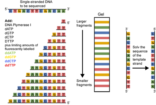 view Institutionenökonomische Betriebswirtschaftstheorie: Allgemeine Betriebswirtschaftslehre auf