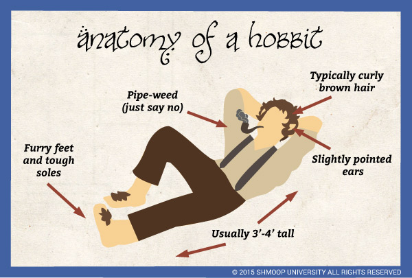 Hobbit Anatomy in The Fellowship of the Ring - Chart