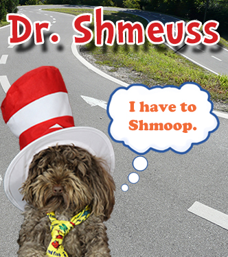 I have to Shmoop.