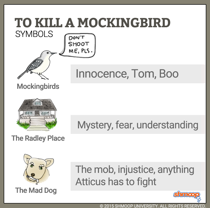 To kill a mockingbird gradesaver