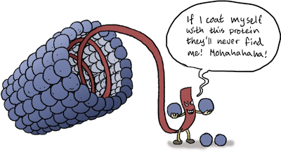 A cartoon of a viral genome hiding itself in a helical capsid.