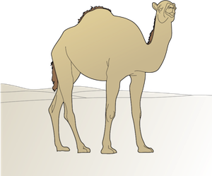 Cartoon image of a camel.