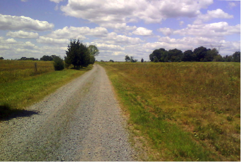 Gravel Road in Grassland