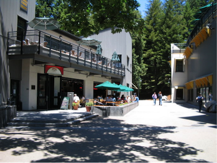 santa cruz universities