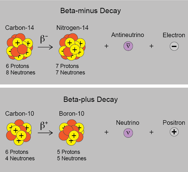 electron capture decay